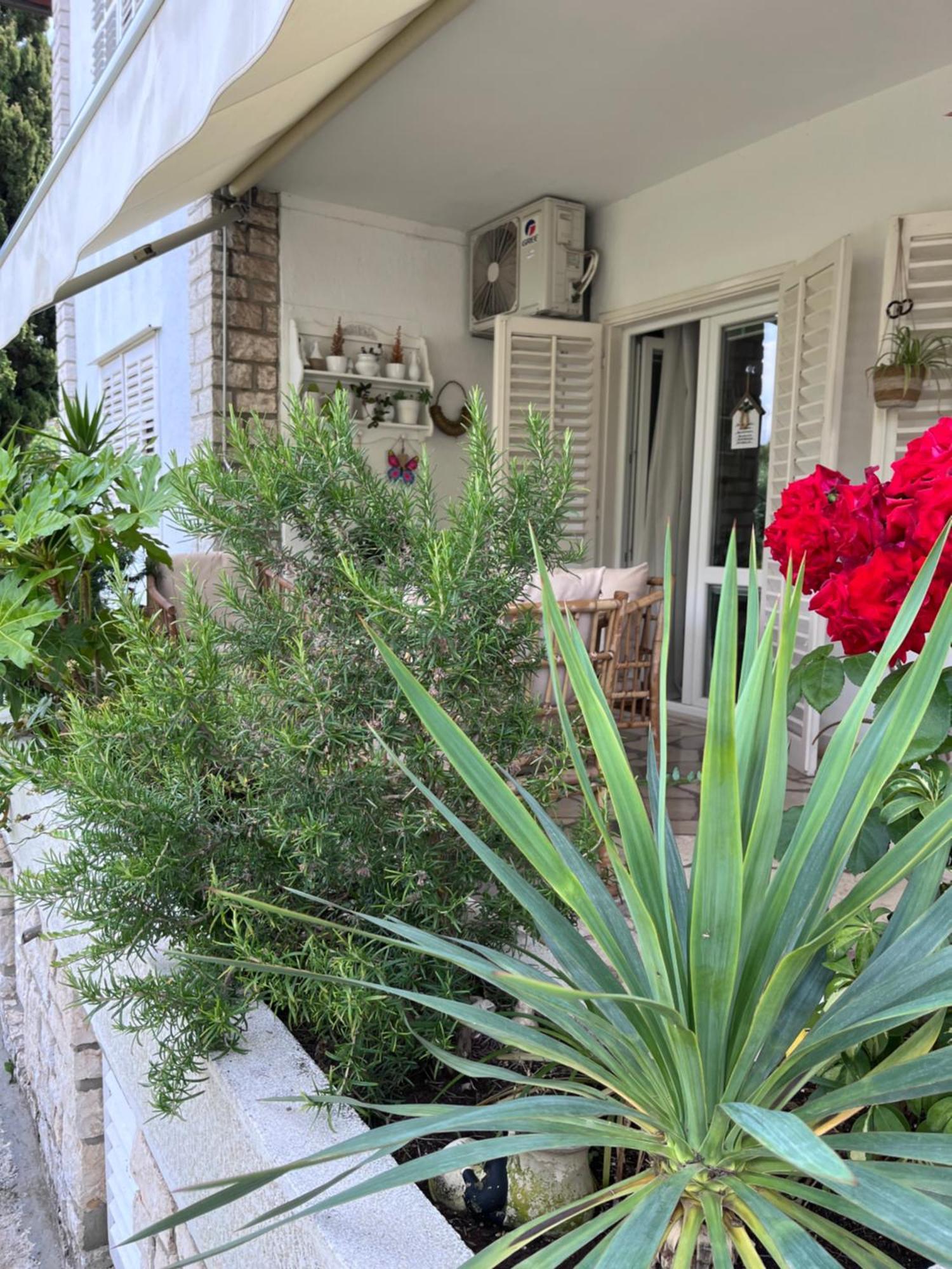 House Of Rosalia Apartment Rovinj Exterior photo
